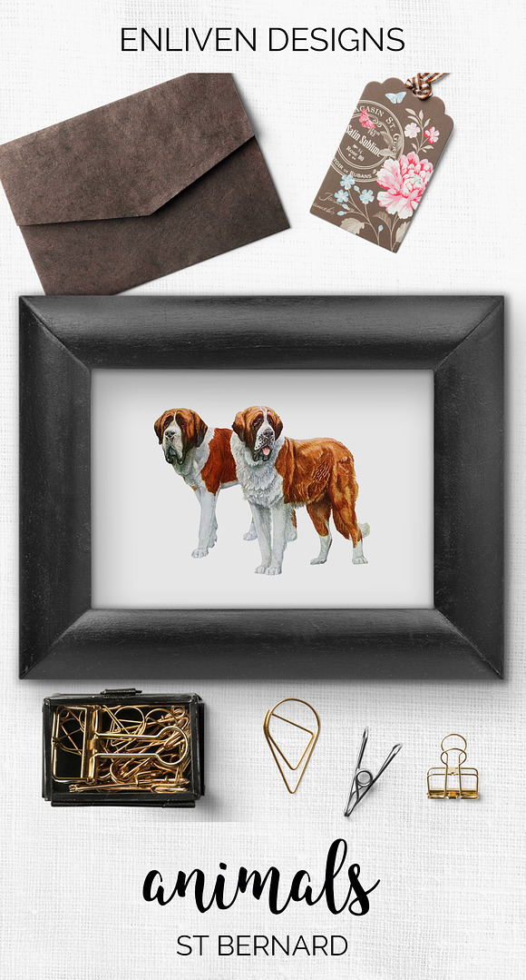 Saint Bernard Vintage Dog Watercolor in Illustrations - product preview 7