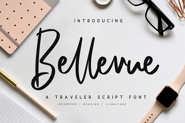 Bellevue // A Traveler Script Font