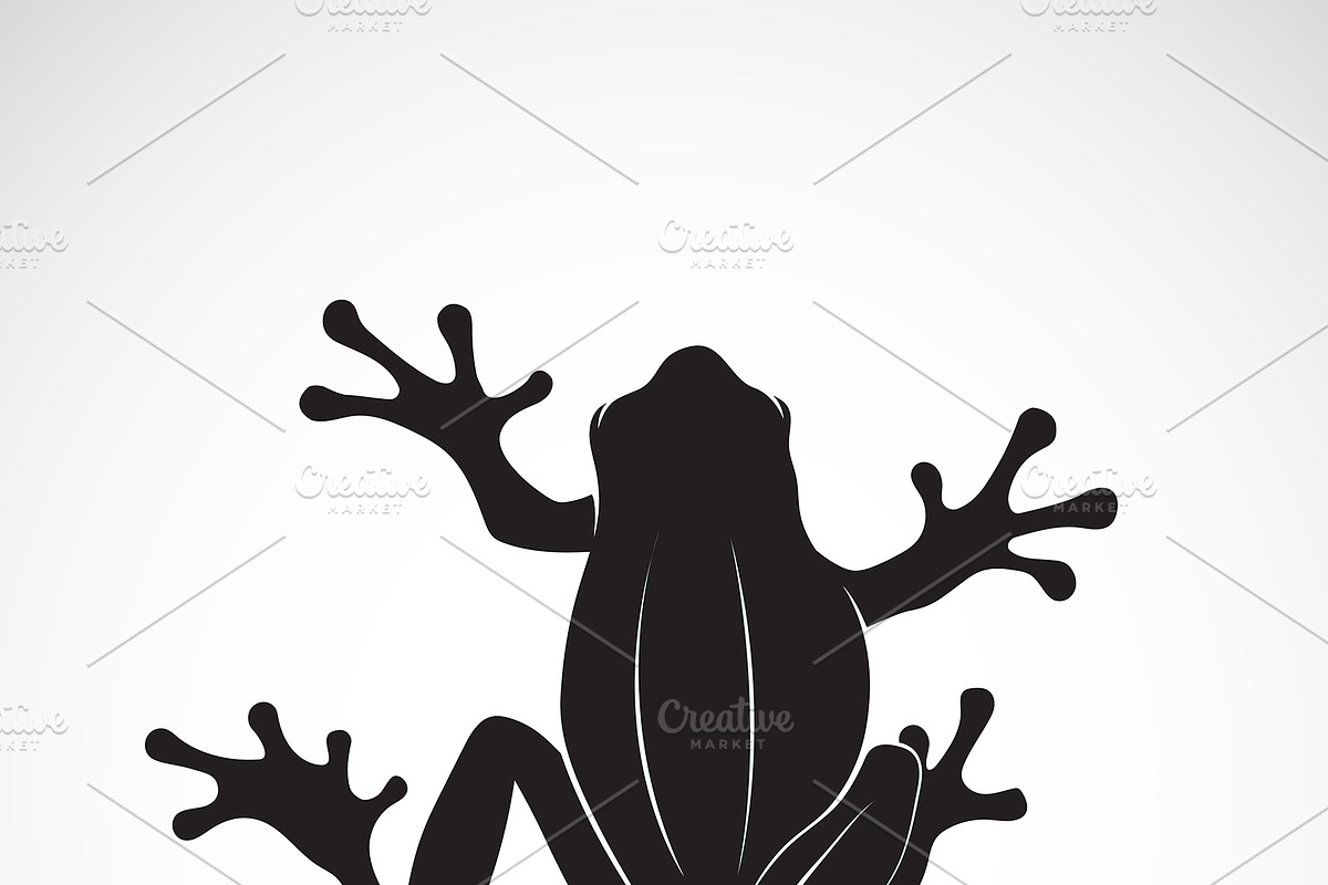 Vector of frog design. Amphibian. in Icons - product preview 8