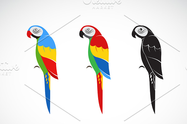 Vector of a parrot design. Bird Icon