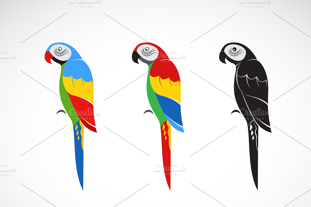 Vector of a parrot design. Bird Icon in Icons - product preview 8