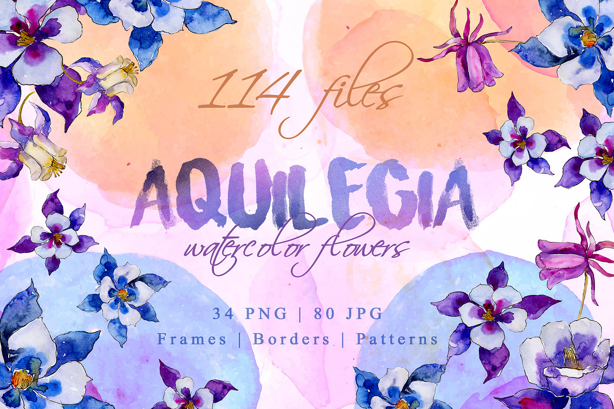 Aquilegia Watercolor png  in Illustrations - product preview 8