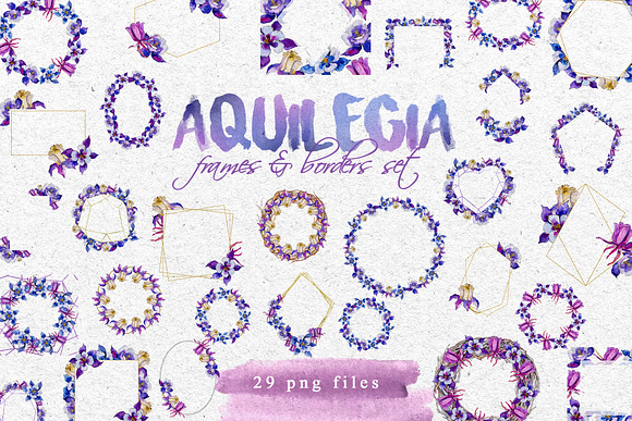 Aquilegia Watercolor png  in Illustrations - product preview 2