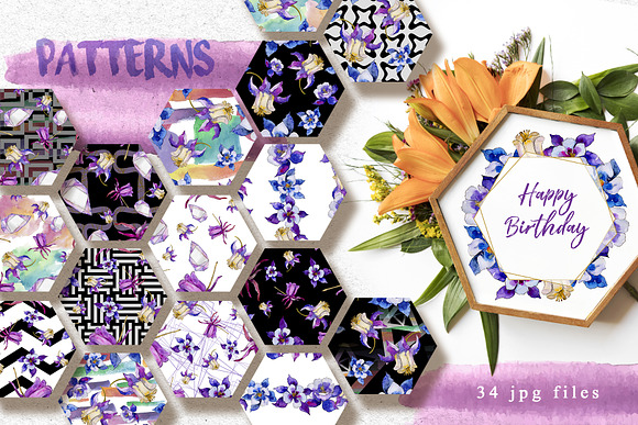 Aquilegia Watercolor png  in Illustrations - product preview 4