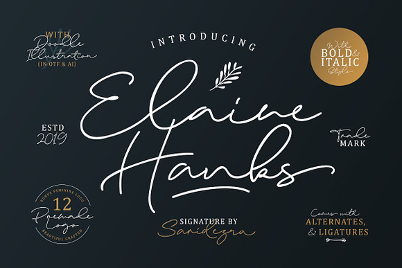 Elaine Hanks (+Feminine Logo Pack) in Script Fonts - product preview 8