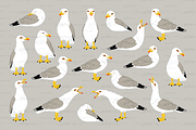 vector flat seagulls sea gull