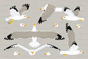 vector flat seagulls sea gull