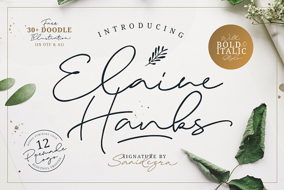 Elaine Hanks (+Feminine Logo Pack) in Script Fonts - product preview 9