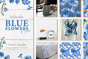 Blue flowers of flax Watercolor png 
