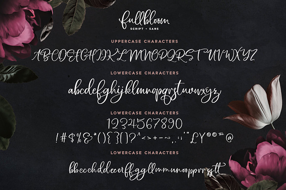 Fullbloom Font Duo in Script Fonts - product preview 12