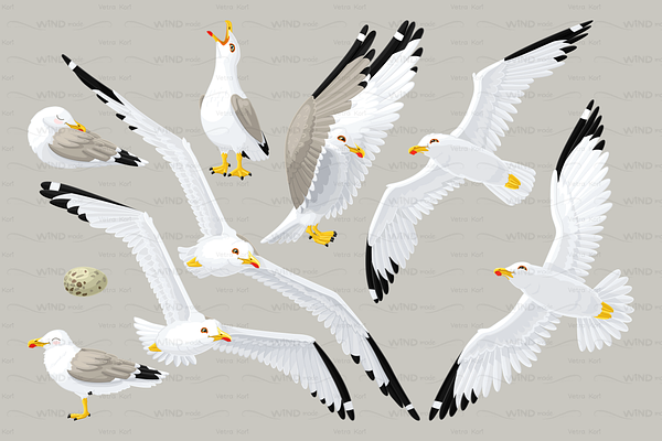 vector seagull sea gull set