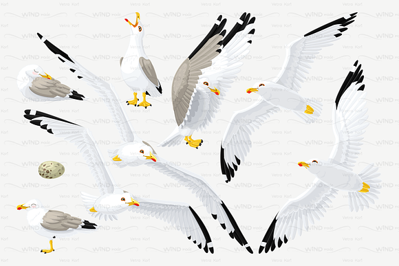 vector seagull sea gull set in Patterns - product preview 1