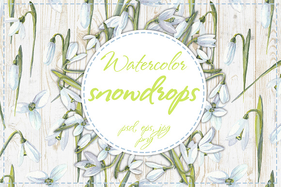 Watercolor snowdrops in Illustrations - product preview 4