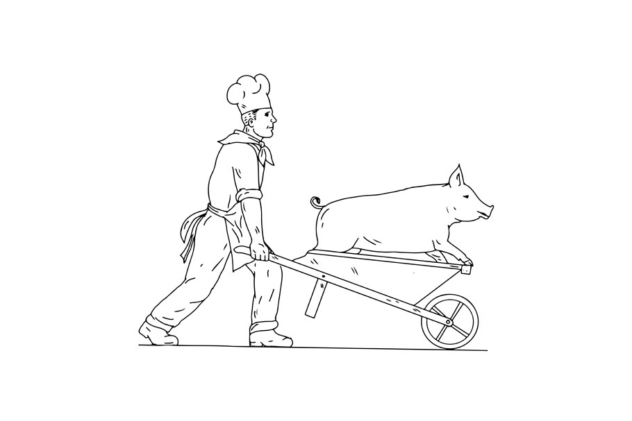 Chef With Wheelbarrow and Pig Drawin