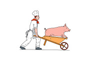 Chef Pushing Wheelbarrow and Pig Col