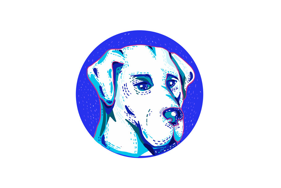 Labrador Retriever Dog Doodle Circle