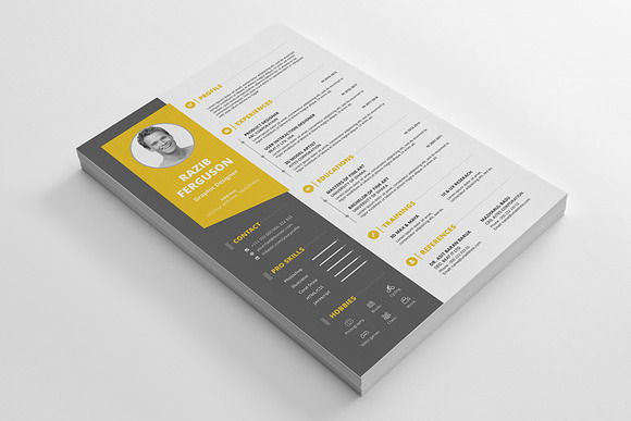 Resume in Resume Templates - product preview 6