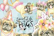 Pugs Clipart Watercolor, Handpainted