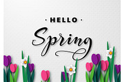 Hello Spring seasonal greeting