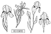 Iris Flowers Set