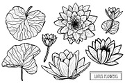 Lotus Flowers Set