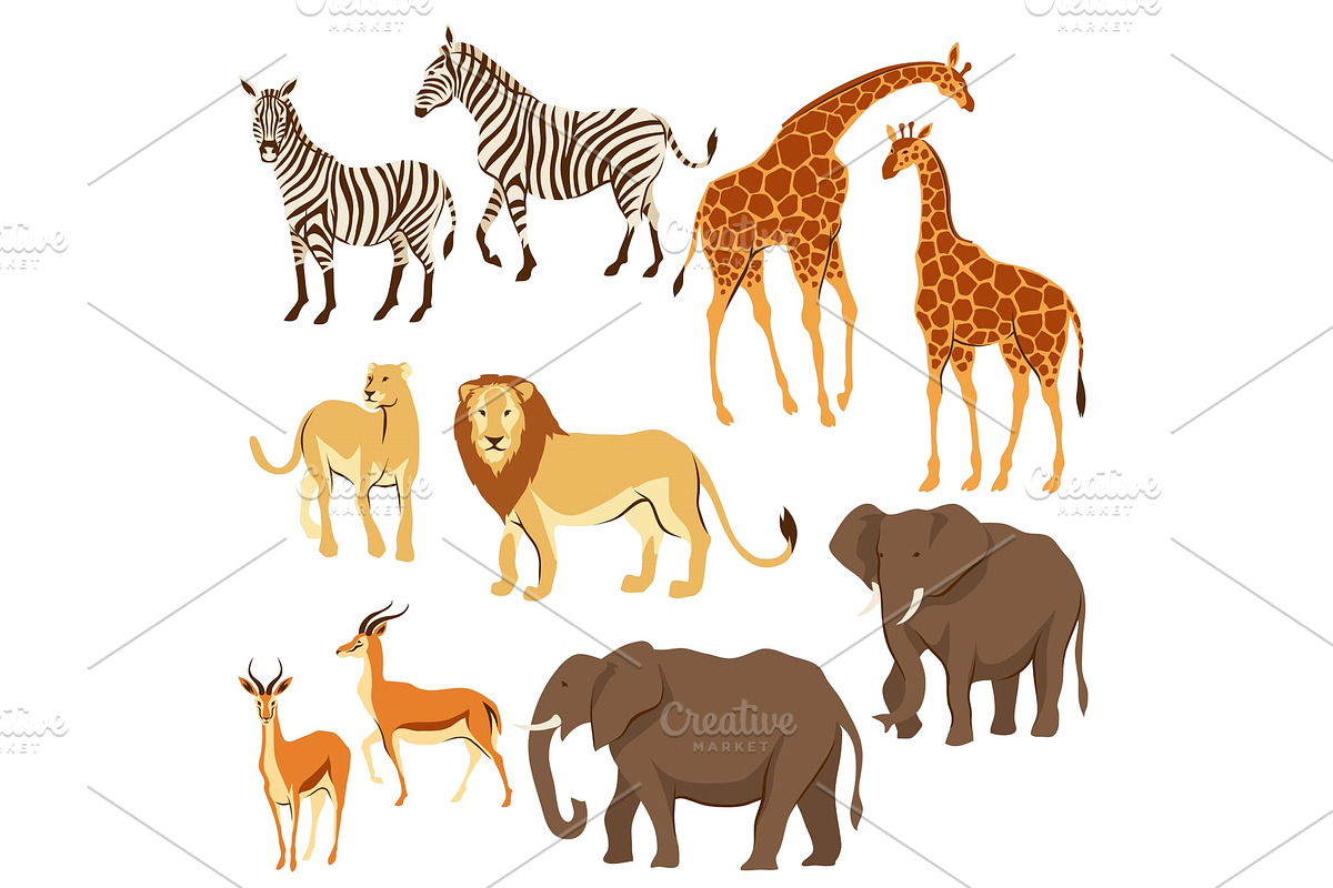 Set of African savanna animals. in Illustrations - product preview 8