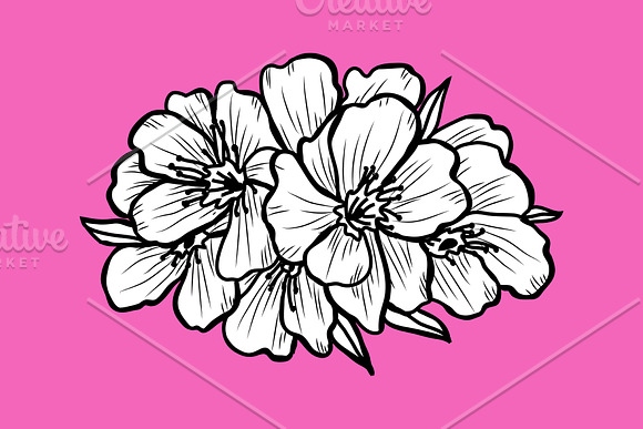 Oleander Flowers Set in Illustrations - product preview 3