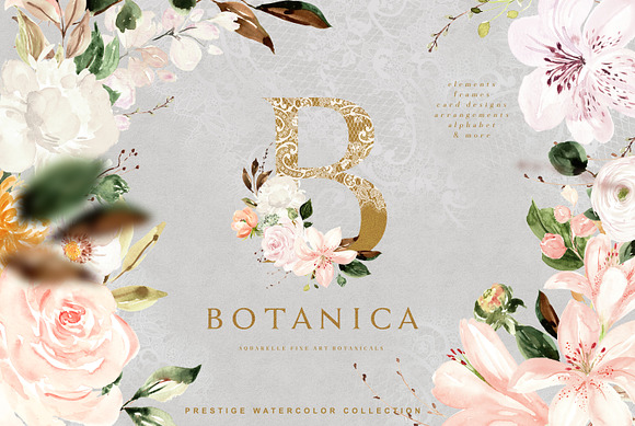 Botanica - Fine Art Aquarelle in Illustrations - product preview 11