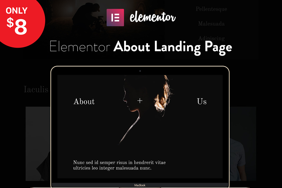Elementor Landing Page Template in UI Kits and Libraries - product preview 8