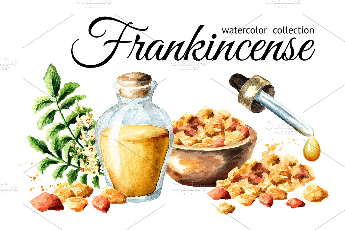 Frankincense. Watercolor collection in Illustrations - product preview 8