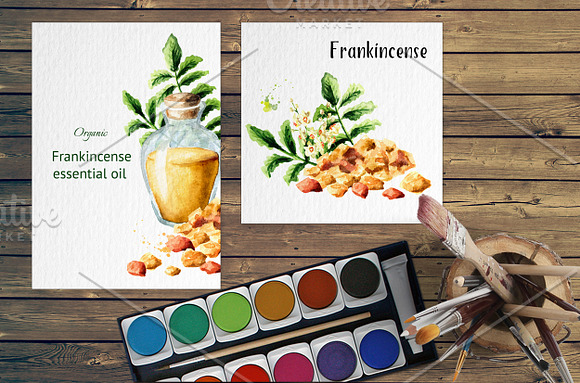 Frankincense. Watercolor collection in Illustrations - product preview 5