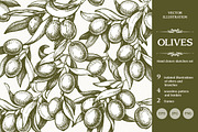 Hand drawn sketch olives set