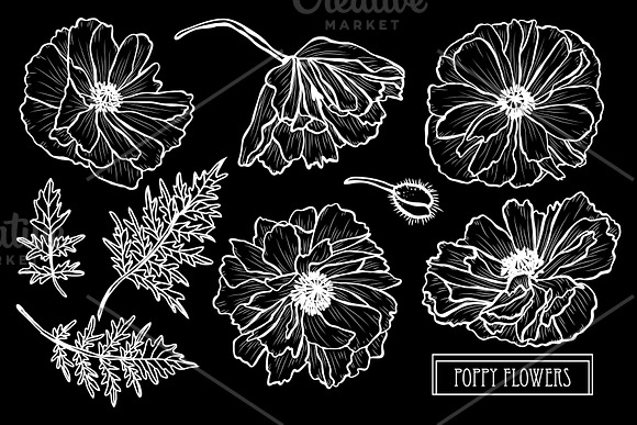 Poppy Flowers Set in Illustrations - product preview 1