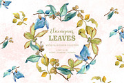 Elaeagnus leaves Watercolor png