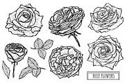 Rose Flowers Set