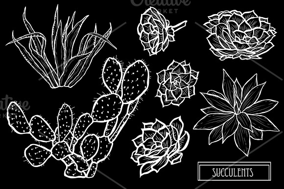 Succulents Set in Illustrations - product preview 1