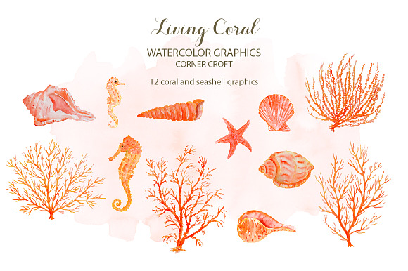 Watercolor Clipart Living Coral in Illustrations - product preview 5