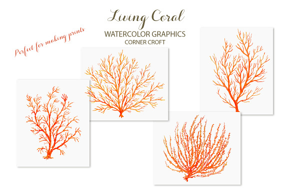 Watercolor Clipart Living Coral in Illustrations - product preview 6
