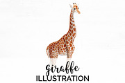 Giraffe Vintage Watercolor Giraffe