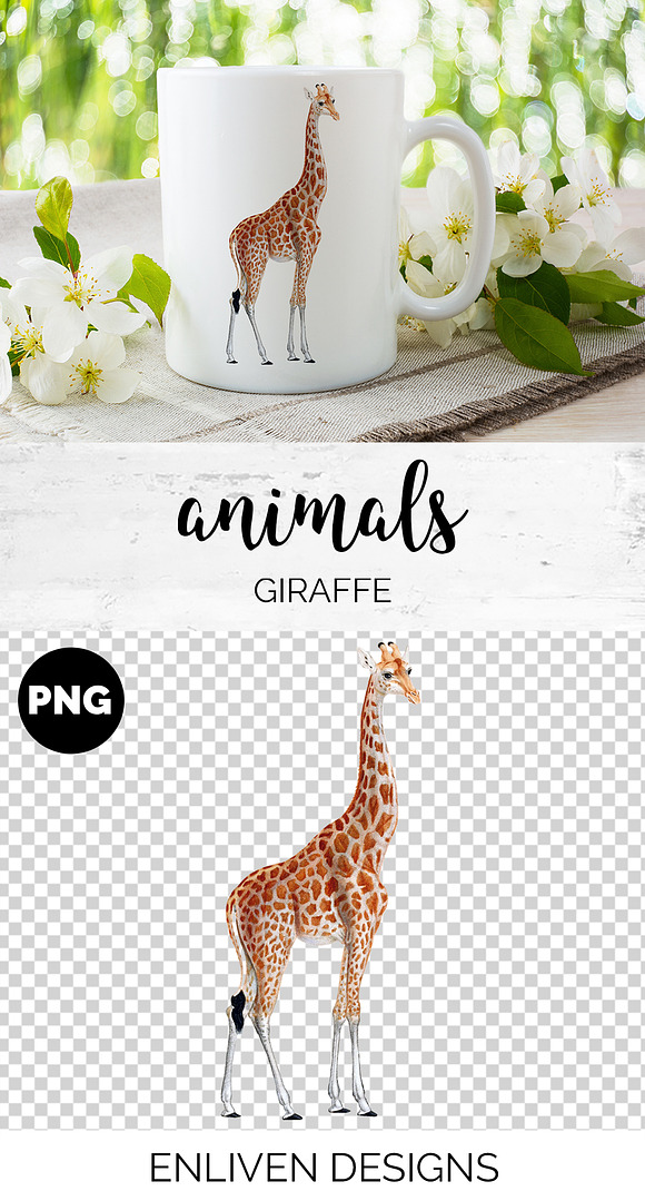 Giraffe Vintage Watercolor Giraffe in Illustrations - product preview 1