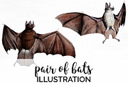 Bats Vintage Watercolor Bat