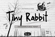 Tiny Rabbit Handwriting Font