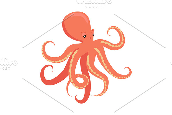 Red Octopus Cartoon Flat Vector
