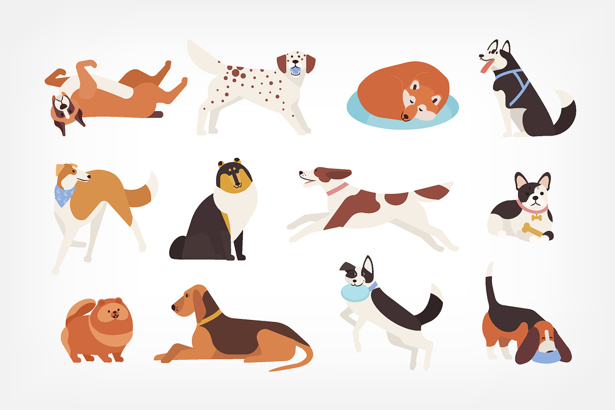Cute dogs set in Illustrations - product preview 8