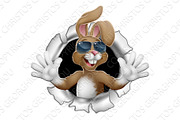 Easter Bunny Cool Rabbit Sunglasses