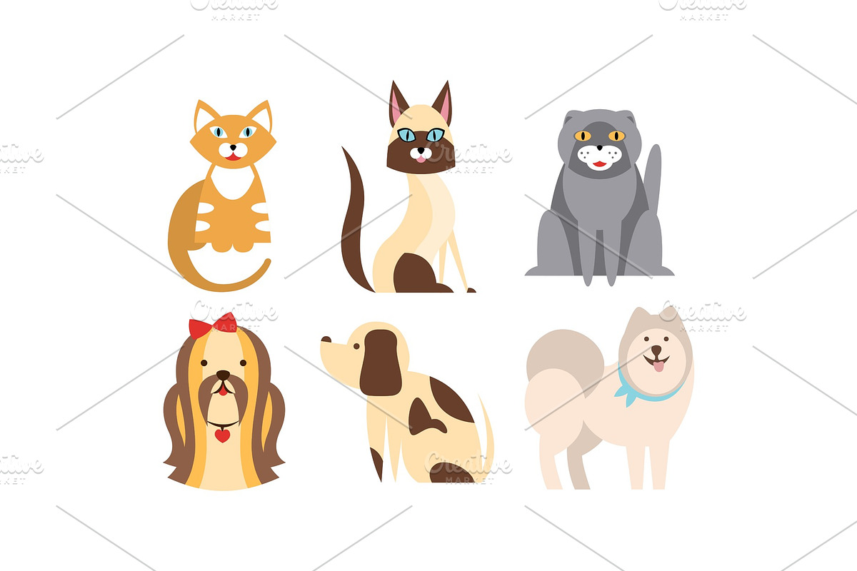 Cats and dogs of different breeds in Illustrations - product preview 8