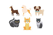 Cats and dogs of different breeds