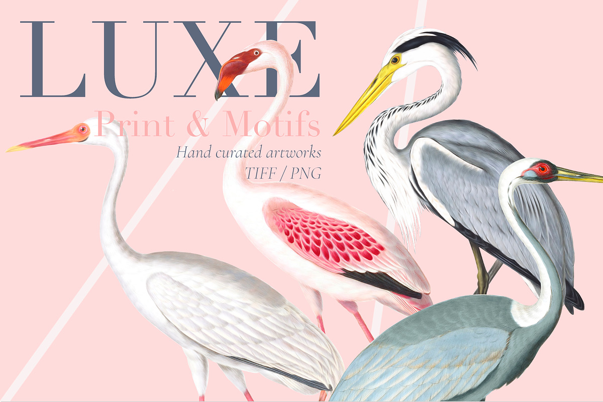 Luxe, Glamour and More! in Patterns - product preview 8