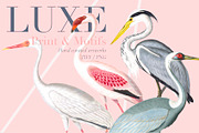 Luxe, Glamour and More!