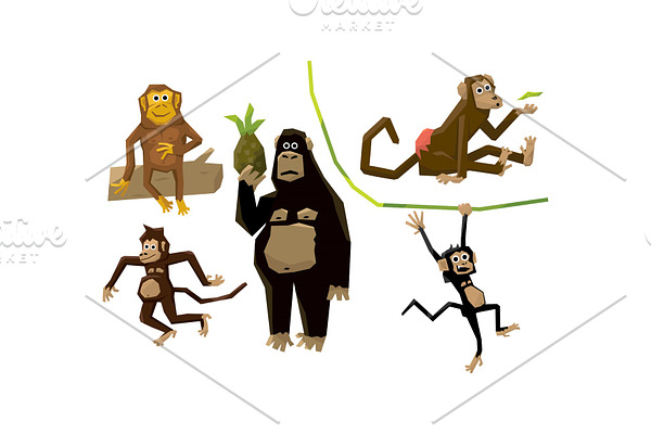 Funny monkeys of various breeds
